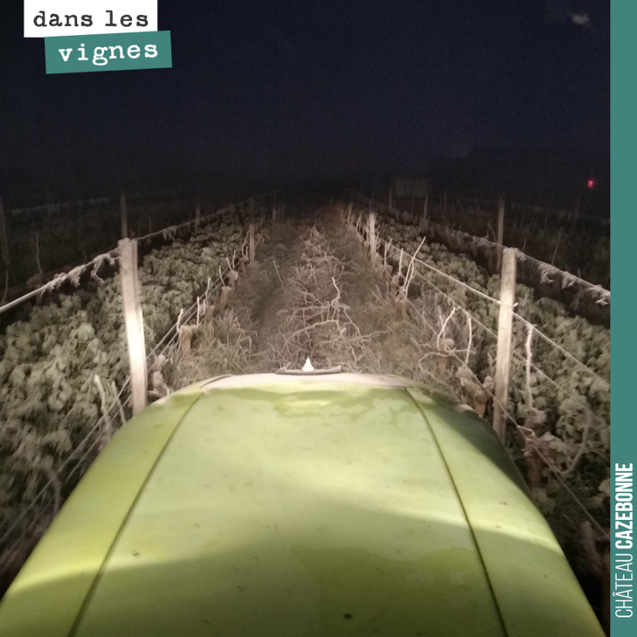 Broyage des sarments tôt le matin. On profite des sols gelés pour ne pas tasser les sols. Parce que dès 10 heures le matin, nos sols détrempés sont impraticables.
