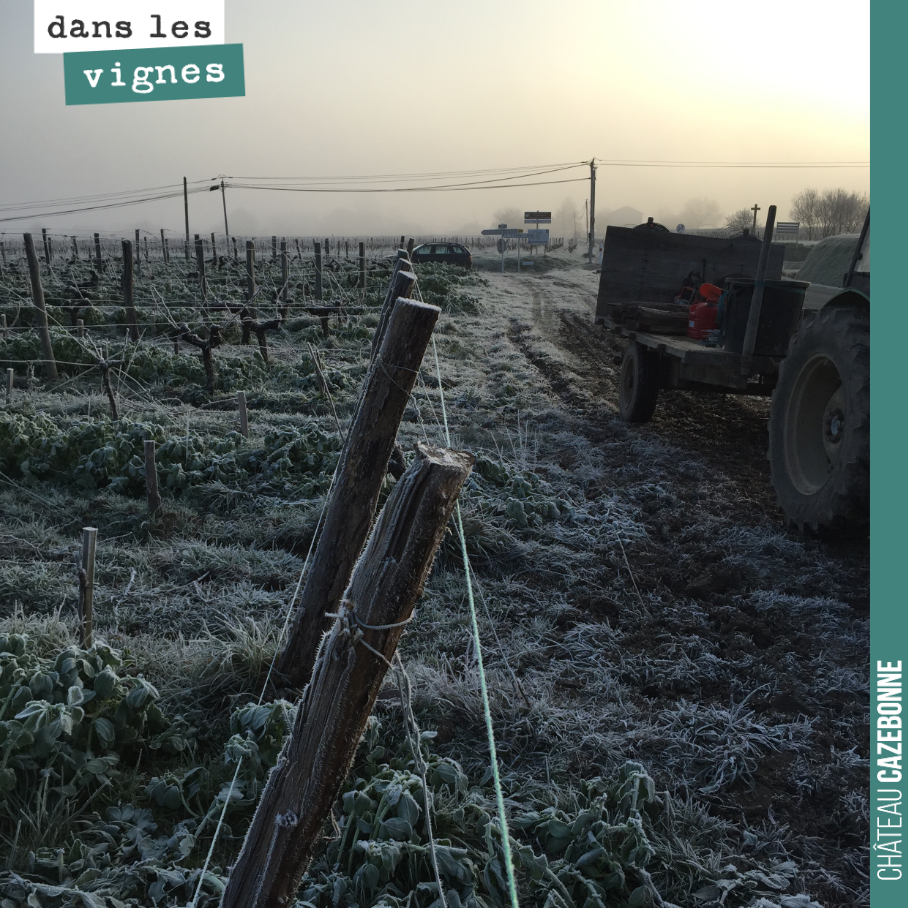 On a fini le sécaillage ces derniers jours sur la parcelle de Bouché. Il s’agit de changer les piquets abîmés, de réparer les fils de fer coupés, de retendre les fils, pour pouvoir redémarrer la sa...