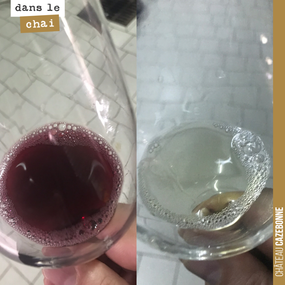 Dégustation hier de nos cuves pour l’assemblage des cuvées Entre amis 2020. Cela goûte plutôt bien.
Mise en bouteille fin février pour les blancs et fin mai pour les rouges.