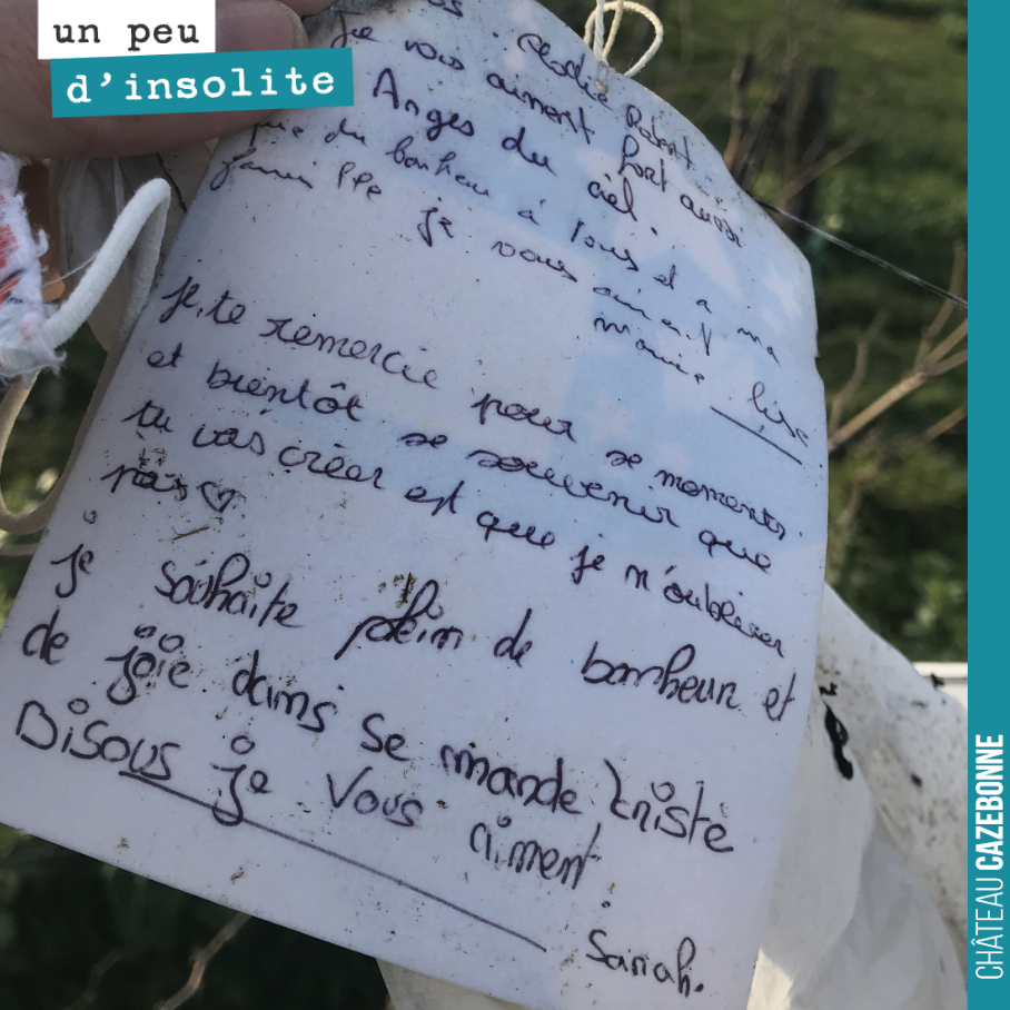 SOS, on recherche Sarah qui a envoyé cette lanterne chinoise dans le ciel, qui a atterri dans nos vignes, avec ce mot accroché !