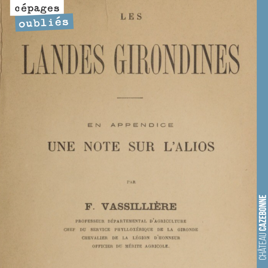 Vincent m’a contacté, il y a quelques semaines, parce qu’il avait un projet de planter des vignes dans les Landes girondines. Je lui ai fait part de l’existence de cet ouvrage.
Aujourd’hui, après ...