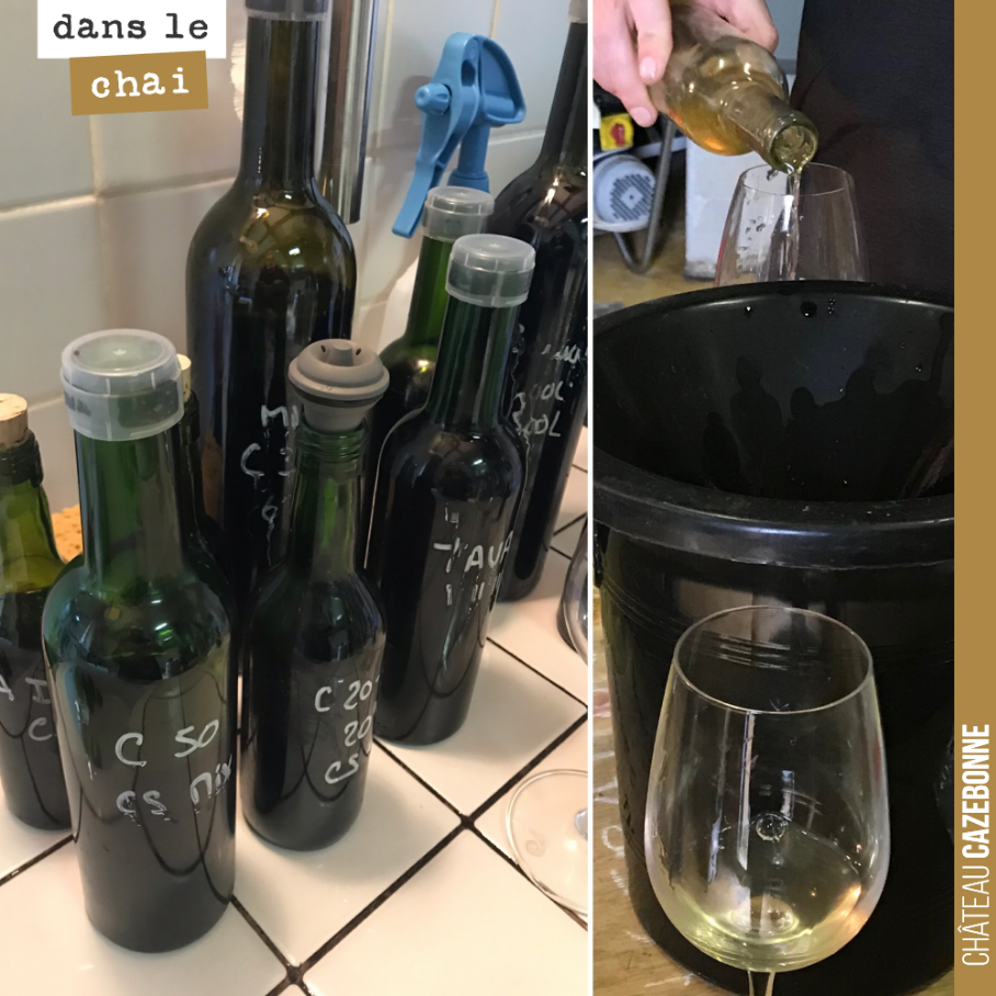 Redégustation de nos lots de 2020 pour faire les assemblages dé Entre amis blanc et rouge.
Les rouges sont magnifiques, cette année. On a franchi un nouveau cap.
Mise en bouteille de l’Entre amis...