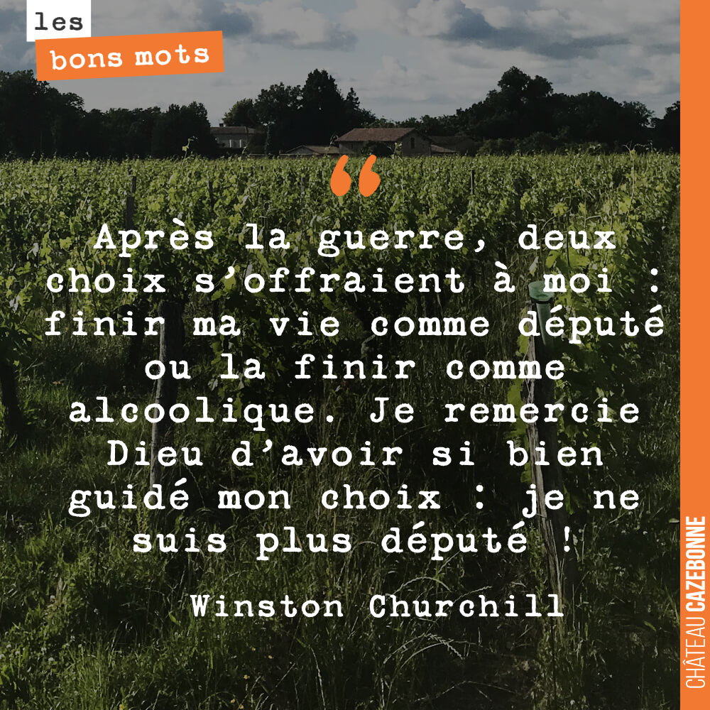 Après la guerre, deux choix s'offraient à moi : finir ma vie comme député ou la finir comme alcoolique. Je remercie Dieu d'avoir si bien guidé mon choix : je ne suis plus député !