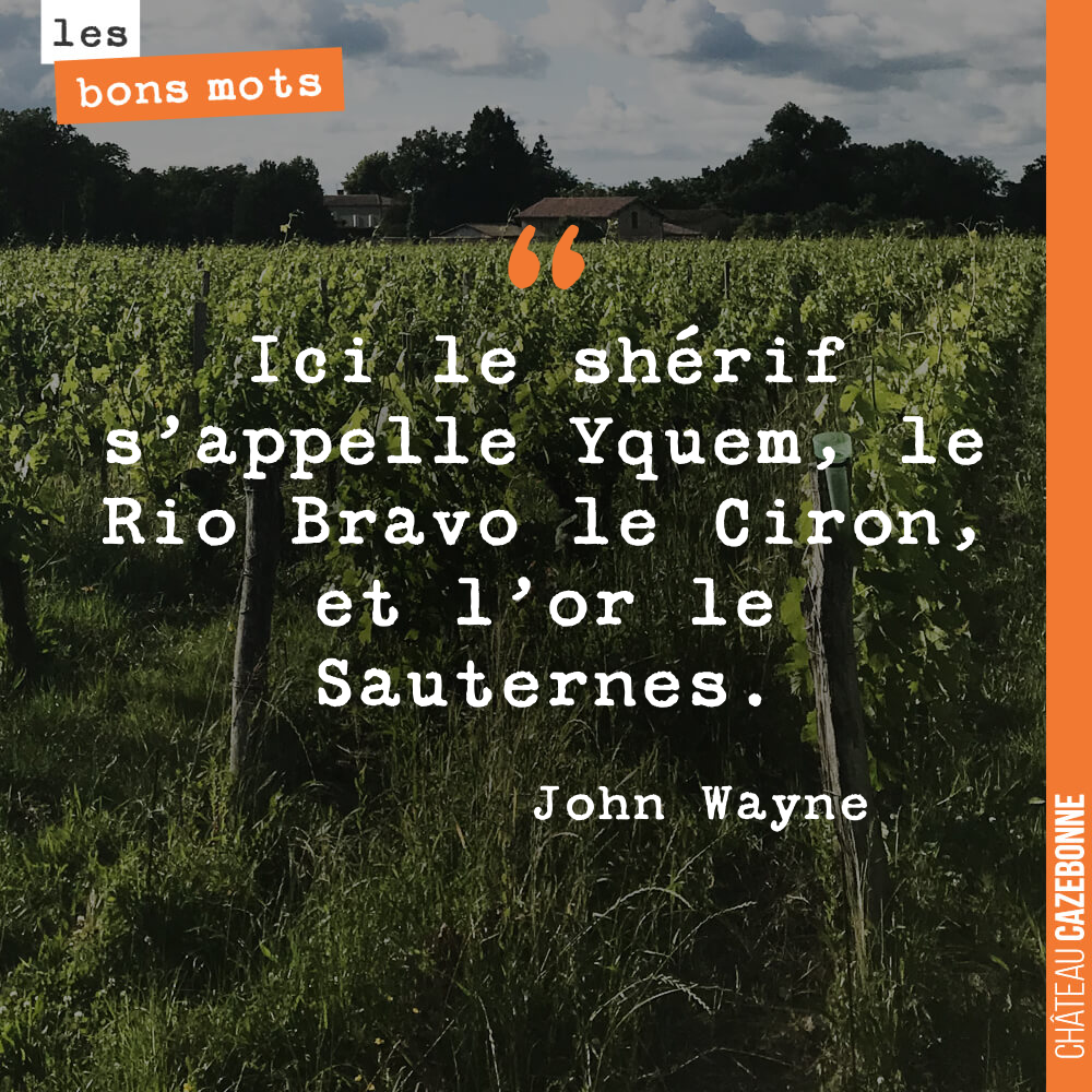 Ici le shérif s'appelle Yquem, le Rio Bravo le Ciron, et l'or le Sauternes.