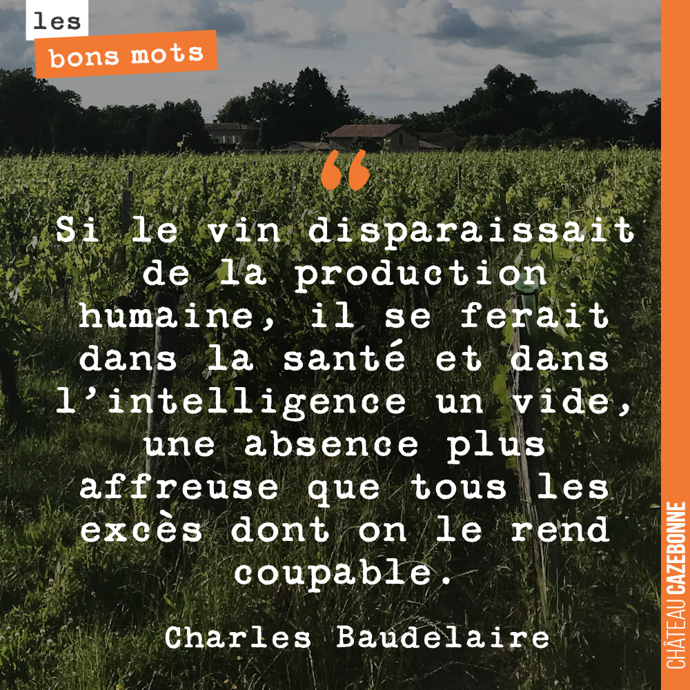 Si le vin disparaissait de la production humaine, il se ferait dans la santé et dans l'intelligence un vide, une absence plus affreuse que tous les excès dont on le rend coupable