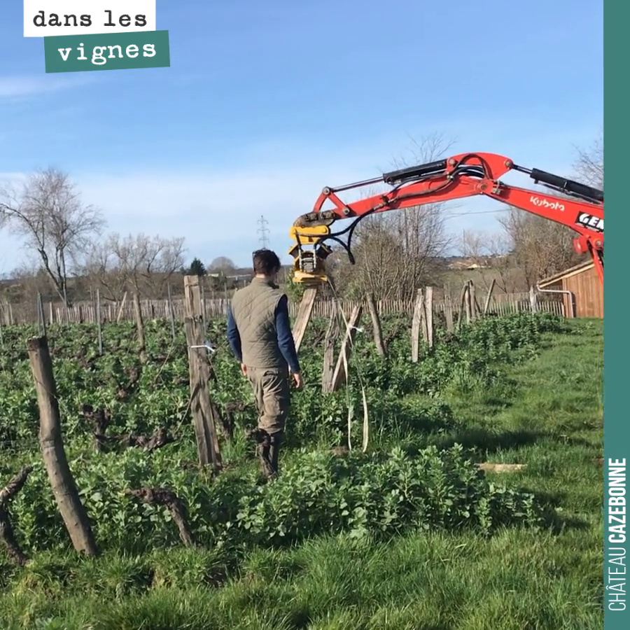 On s’est fait prêter cette pelle pour refaire nos piquets de bout, sur la parcelle de Peyron. Cela va nous permettre d’avoir des palissages en état pour attaquer la saison en ordre de marche.