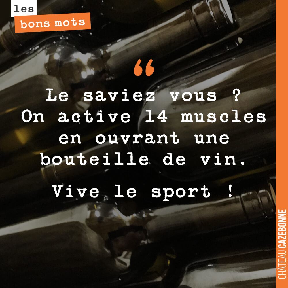 Le saviez vous ? On active 14 muscles en ouvrant une bouteille de vin. Vive le sport !