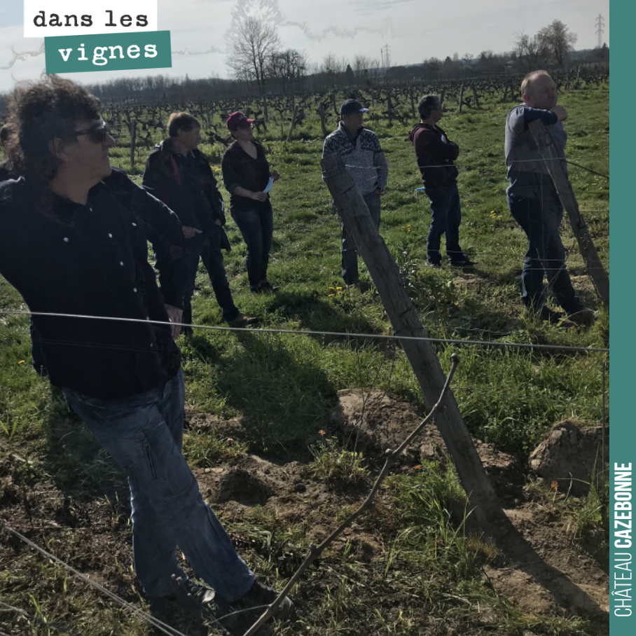 Toujours un bonheur de recevoir au domaine un groupe de confrères vignerons, pour parler de cépages et porte-greffes, dans le cadre d’une journée de formation de Bordeaux Families.
Journée animée ...