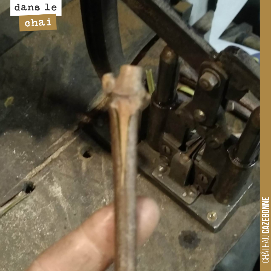 Ce matin, on vous montrait la machine. Voici la greffe qui a été réalisée sur un cabernet-sauvignon à partir de la machine par Florian.
Il réalise ses propres plants pour sa petite parcelle où il ...