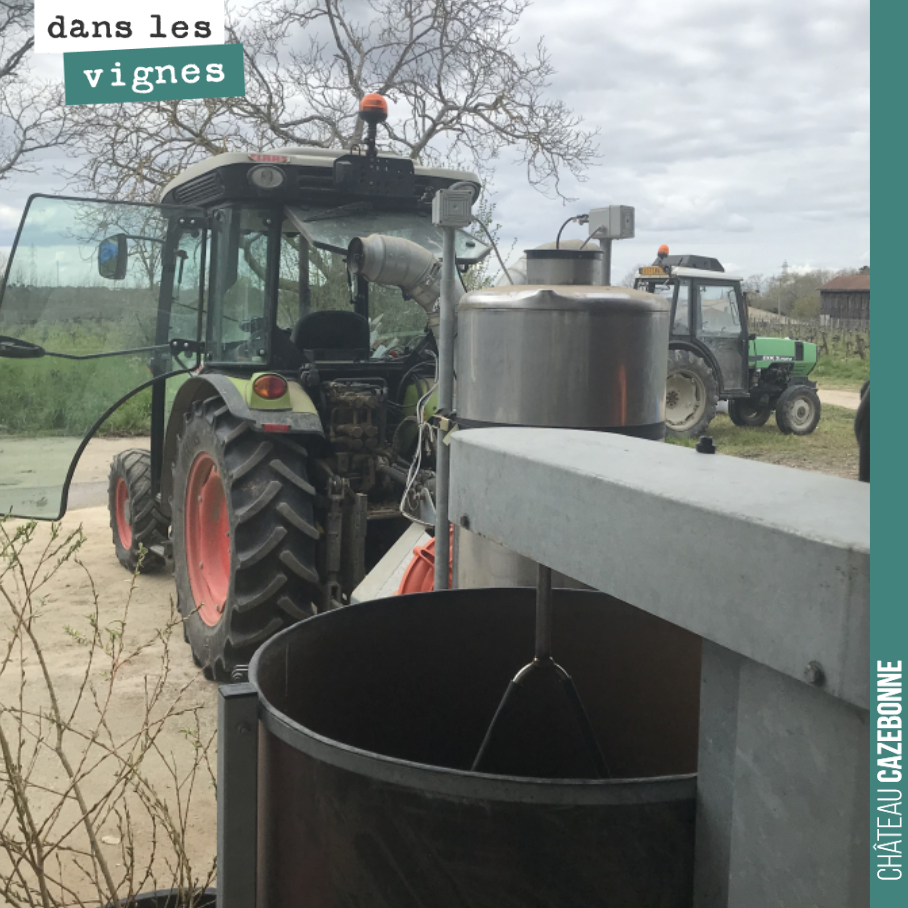 Première préparation de l’année aujourd’hui. Il s’agit d’une décoction de prêle. La prêle a un rôle anticryptogamique par sa silice et ses tanins, on la pulvérise à ce moment pour retarder la matur...