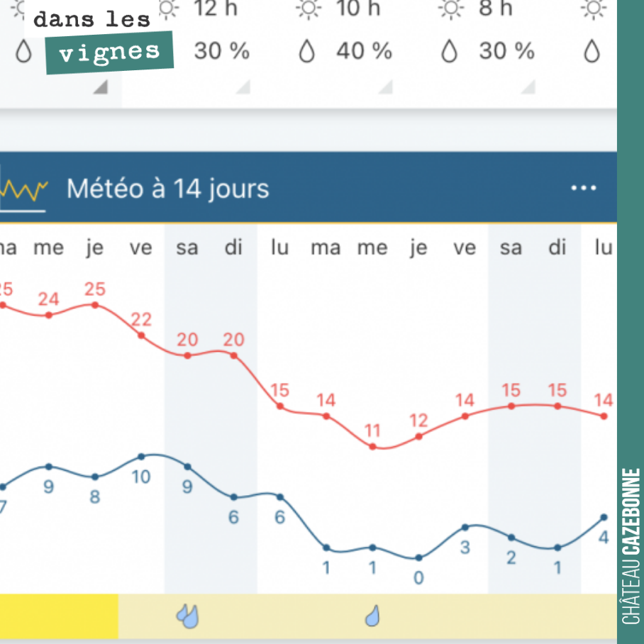 Fil du rasoir.
La météo nous annonce pour la semaine prochaine des températures qui vont flirter avec le zéro, toutes les nuits. On va trembler parce qu’après cette semaine ensoleillée l’ensemble d...