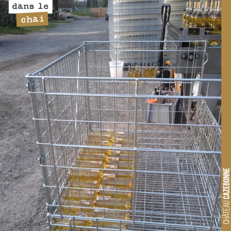 C’est parti pour la mise en bouteille de notre Entre amis blanc 2020. Une belle couleur de liquoreux.
Non, il est bien sec, promis. Et très réussi cette année. Hâte de vous faire goûter cela. 110...
