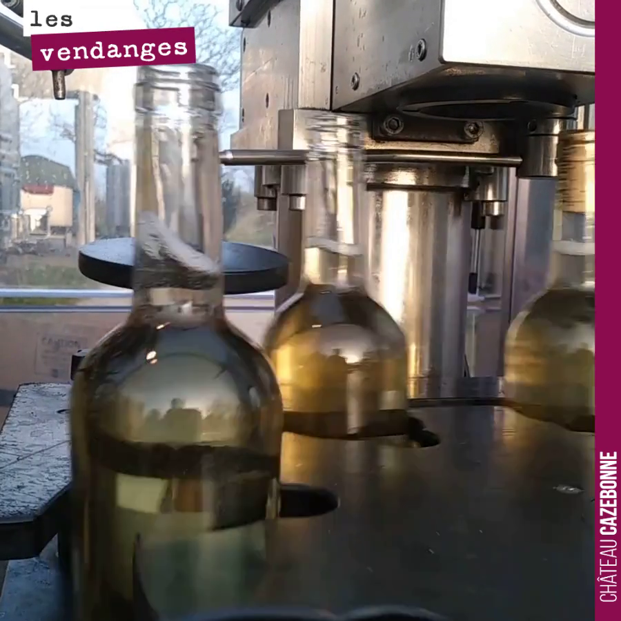 Le bal des bouteilles.
Fin de la mise de l’Entre amis blanc 2020. On se contentera cette année de 10300 bouteilles, pour nous faire attendre le 2021.