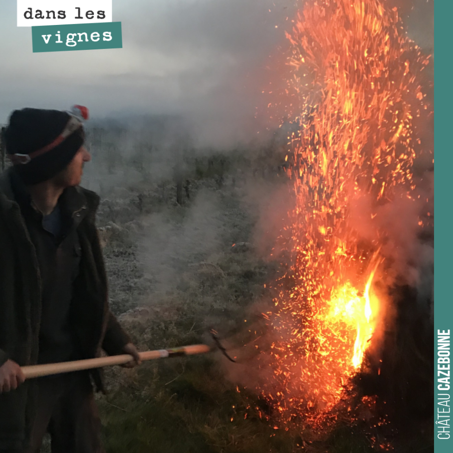 On a lutté. Le thermomètre est descendu à -3 degrés.
On a sauvé ce que l’on a pu. Il nous reste encore quelques nuits de lutte.