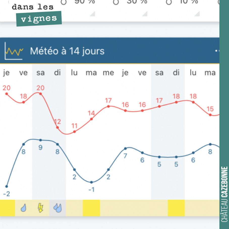 On a passé un cap. Deux nuits de gel très rudes, mais il ne faut pas en rester là. Se remettre au travail, scruter la météo et anticiper sur la prochaine crise.
Cela tombe bien, on nous annonce -1...