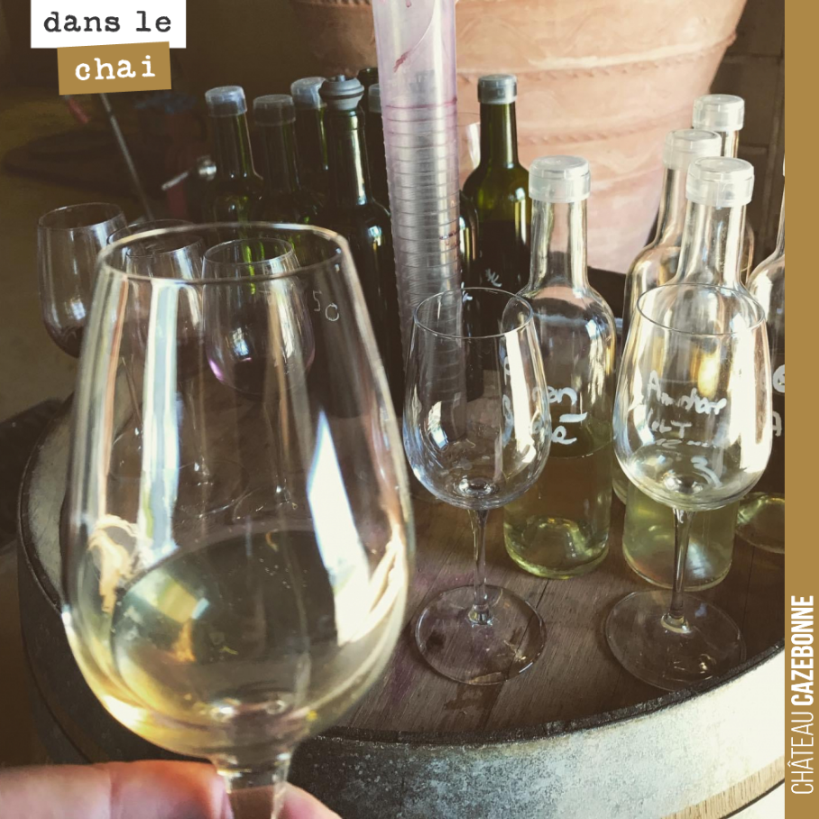 Assemblage avec Nicolas Jamin de notre grand vin 2020 pour les dégustations Primeur du millésime.
Et bien, on est content, c’est bon, très bon même.