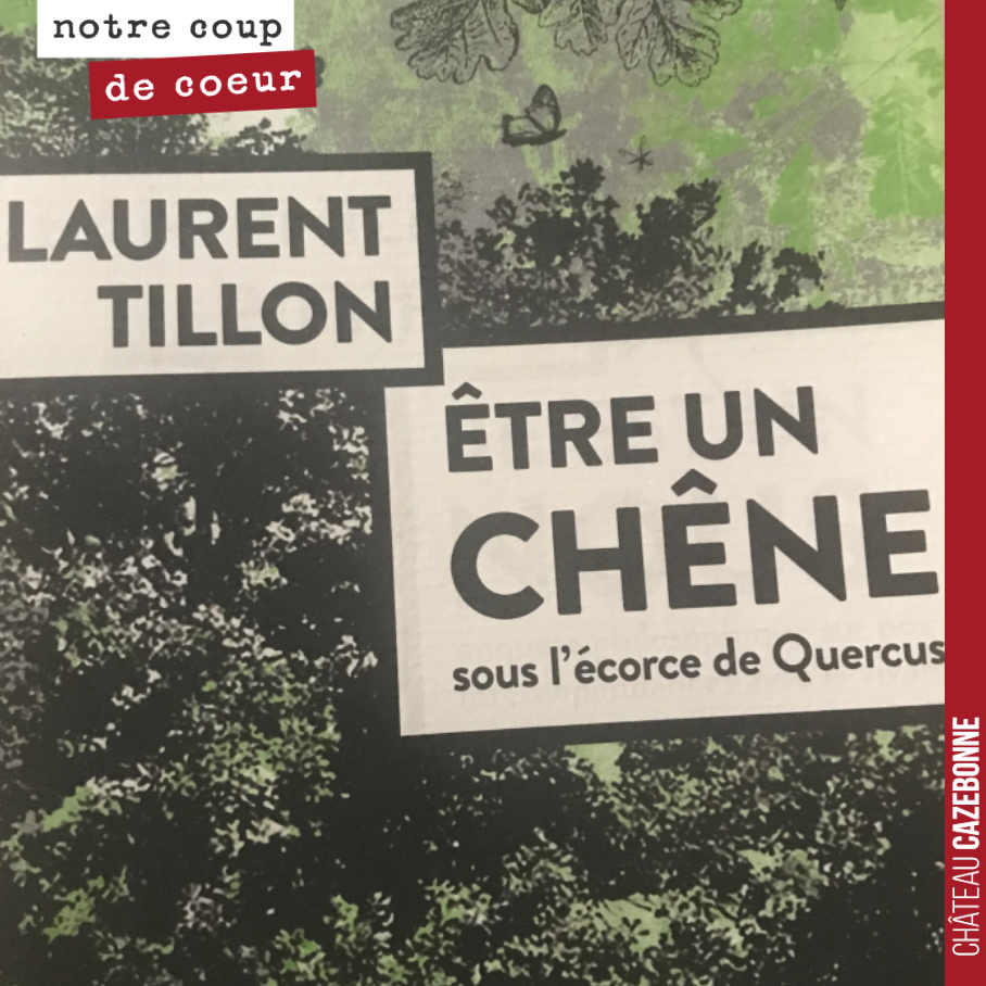 Passionnante lecture du week-end.
Laurent Tillon nous raconte l’histoire de Quercus, un chêne sessile, de 1780 à nos jours. Et il s’en passe des choses dans la vie d’un chêne.
Pour arriver à l’âg...