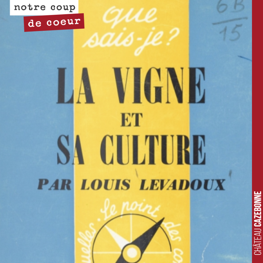 J’écoutais l’autre jour un podcast de Wine Makers Show, qui interviewait l’ampélographe Olivier Yobregat, éminent spécialiste des cépages du Sud Ouest.
Il recommandait à la fin de l’interview la l...