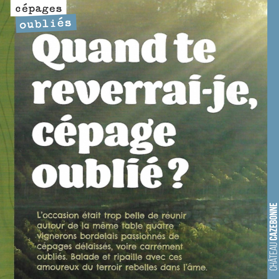 Maylis Detrie est venu à la rencontre des vignerons bordelais qui revisitent l’histoire de Bordeaux, à travers ses cépages. Rencontre croisée avec Henri Duporge, Frédéric Mallier, David Barrault et...