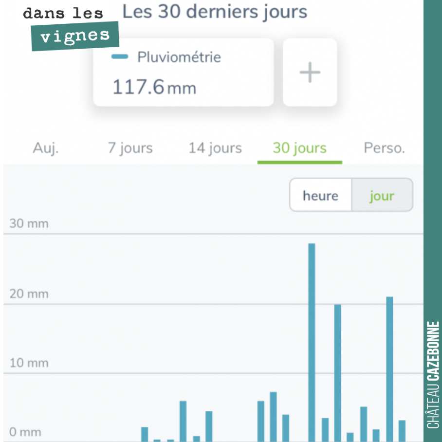 118mm en 20 jours, qui font suite à presque deux mois sans pluie. Les mois se suivent et ne se ressemblent pas. Cela fait beaucoup de bien à la vigne qui avait besoin d’eau. Cela va permettre la bo...