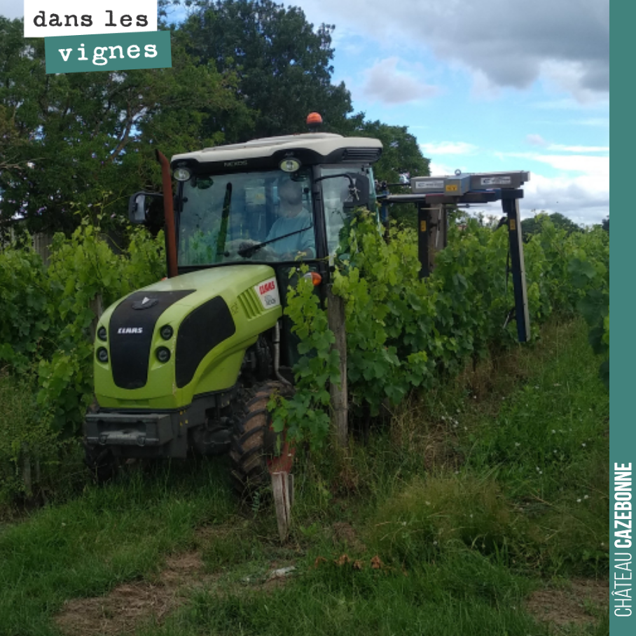 La vigne est folle, cette année, et l’écimeuse est de sortie.
Avec des lames, on coupe les rameaux au dessus du rang et sur le côté.
Cela nous permet de mieux gérer la prophylaxie en aérant et e...
