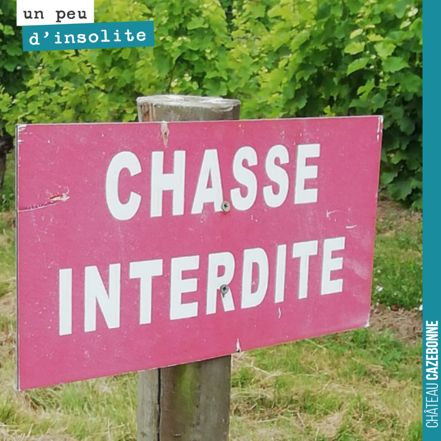 De toute façon, c’est pas la saisons de la chasse !