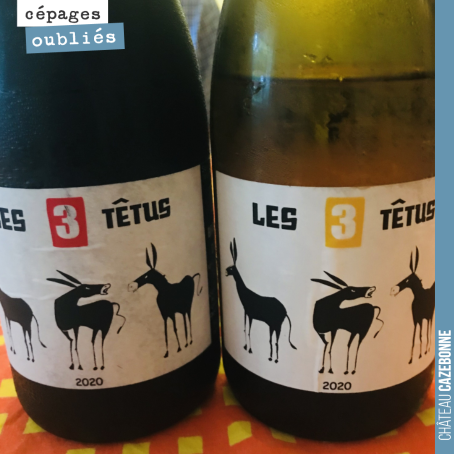 On profite des vacances pour déguster de jolies bouteilles issues de cépages autrefois présents à Bordeaux.
Ces deux cuvées sont en appellation IGP du Tarn. Le rouge est issu de Braucol, nom local...