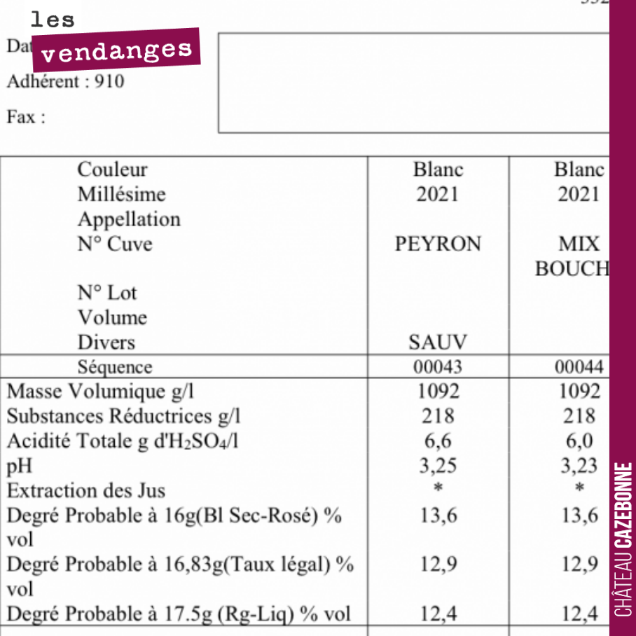 Analyse de nos blancs de nos parcelles de Peyron et Bouché. On démarre les vendanges à partir de demain et jusqu’à vendredi sur nos parcelles les plus précoces.
Faute de volume, cela devrait être ...