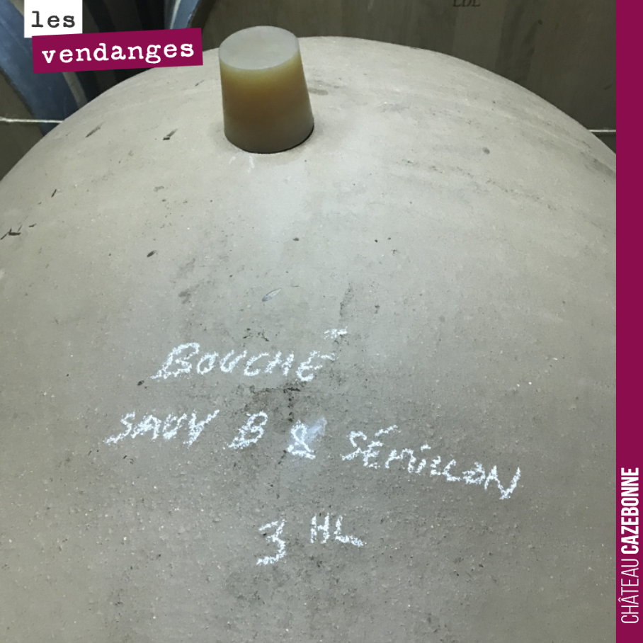 On effectue les fermentations de notre parcelle de Bouché en oeuf. Des contenants de 300 litres qui vont nous permettre de chouchouter notre plus belle cuvée de blanc, sur une parcelle de vieilles ...