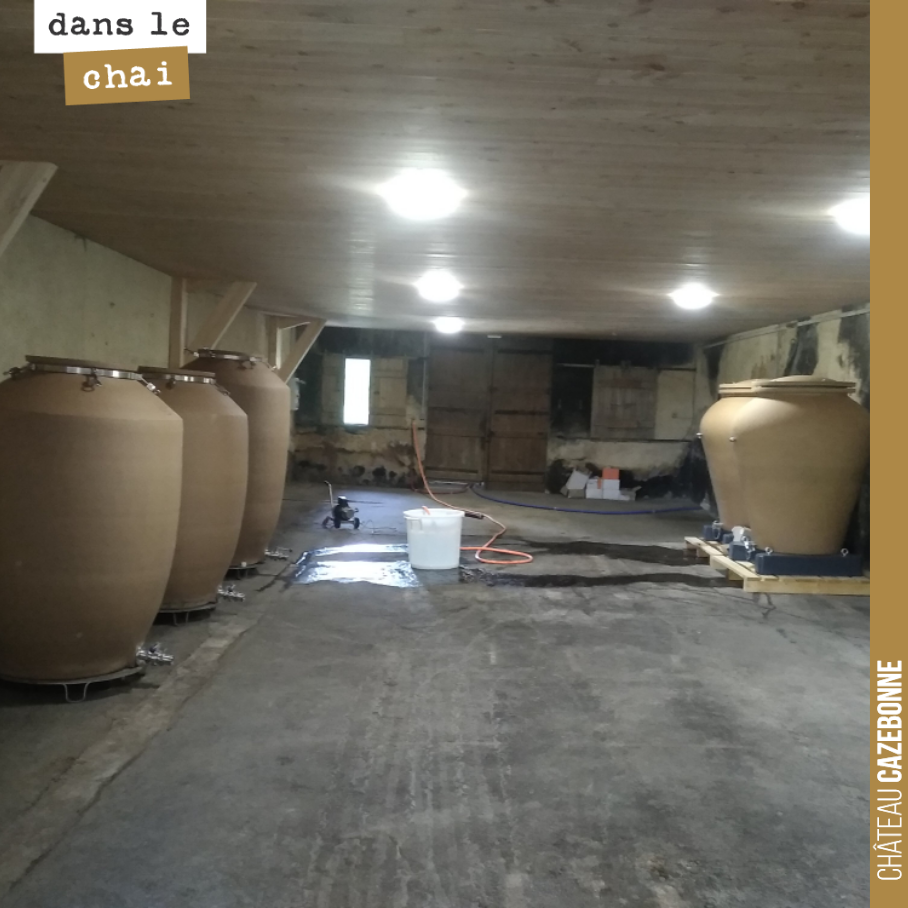 Notre nouveau chai à amphores comprendre à prendre forme !
