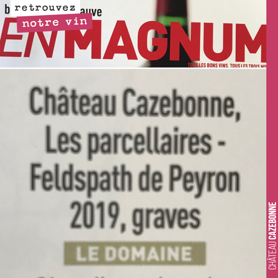 Le Magazine En magnum, a mis à l’honneur notre cuvée parcellaire, Feldspath de Peyron, issue de 100% de sauvignon. 6 cuvées élevées en amphore, dégustées et sélectionnées par Jean Dusaussoy.
Cool !