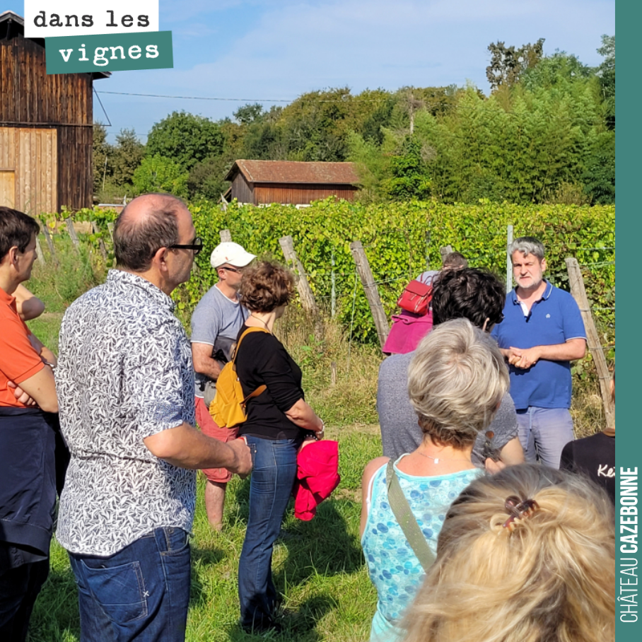 On a reçu samedi les Winefunders qui ont participé au rachat des parcelles de Peyrous, ainsi qu’à notre plantation de cépages oubliés sur la parcelle du Maine.
Au programme, tour dans les vignes e...