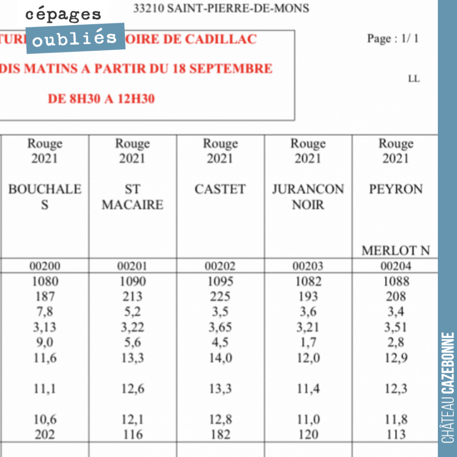Analyse de hier matin de nos raisins de cépages oubliés.
Cette deuxième récolte est pour nous interessante car elle relève plus du profil d’une année classique, en contraste avec la récolte 2020, ...