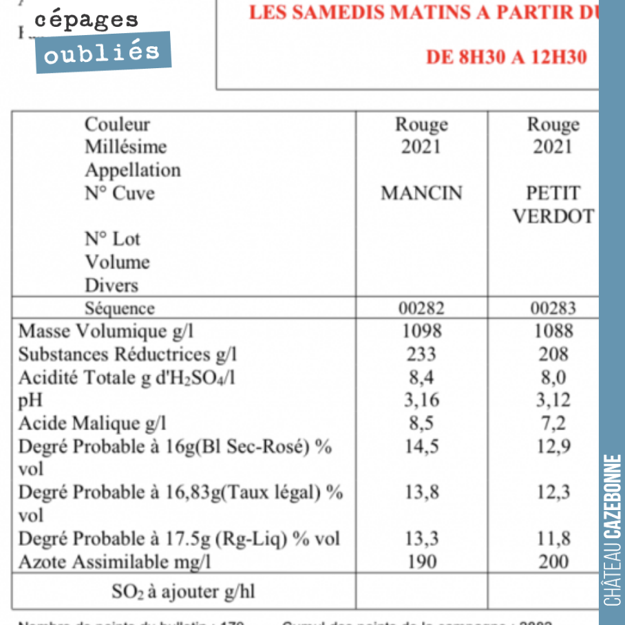 Bordeaux possède dans son patrimoine ampélographique de grands cépages tardifs. C’est le cas du Mancin ou du Petit Verdot. L’analyse porte ici sur une parcelle surgreffée de Mancin et une plante de...