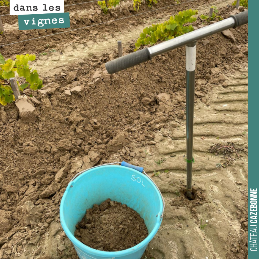 On effectue des prélèvements pour analyse du sol et voir quels amendements seront nécessaires au printemps. Notre travail sur les sols depuis 2017 porte peu à peu ses fruits, mais il y a encore du ...