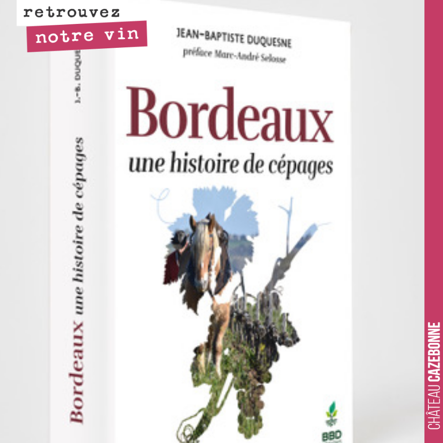Écrire ce livre m’a amené à me poser beaucoup de questions sur le sens de notre métier de vigneron.
Avant 1850, la vigne en Europe ne connaissait aucun pathogène. Au plus quelques insectes, quelqu...