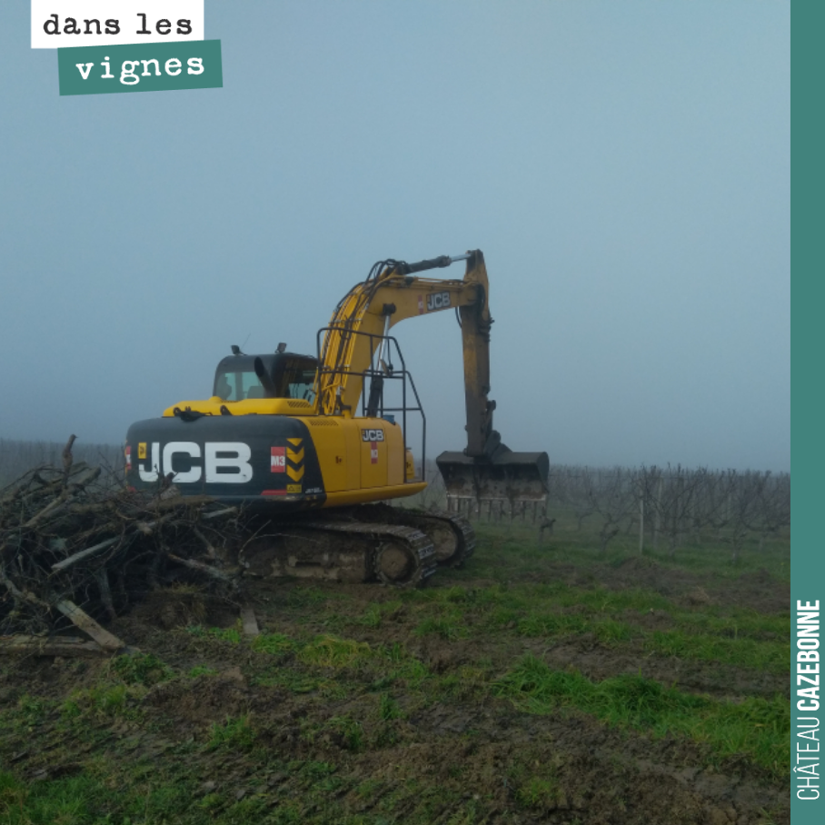 On arrache un petit îlot de vieilles vignes de sauvignons qui ne donnaient plus grand chose.
Un vignoble, cela se restructure, peu à peu, pour garder un équilibre entre jeunes vignes et vignes plu...