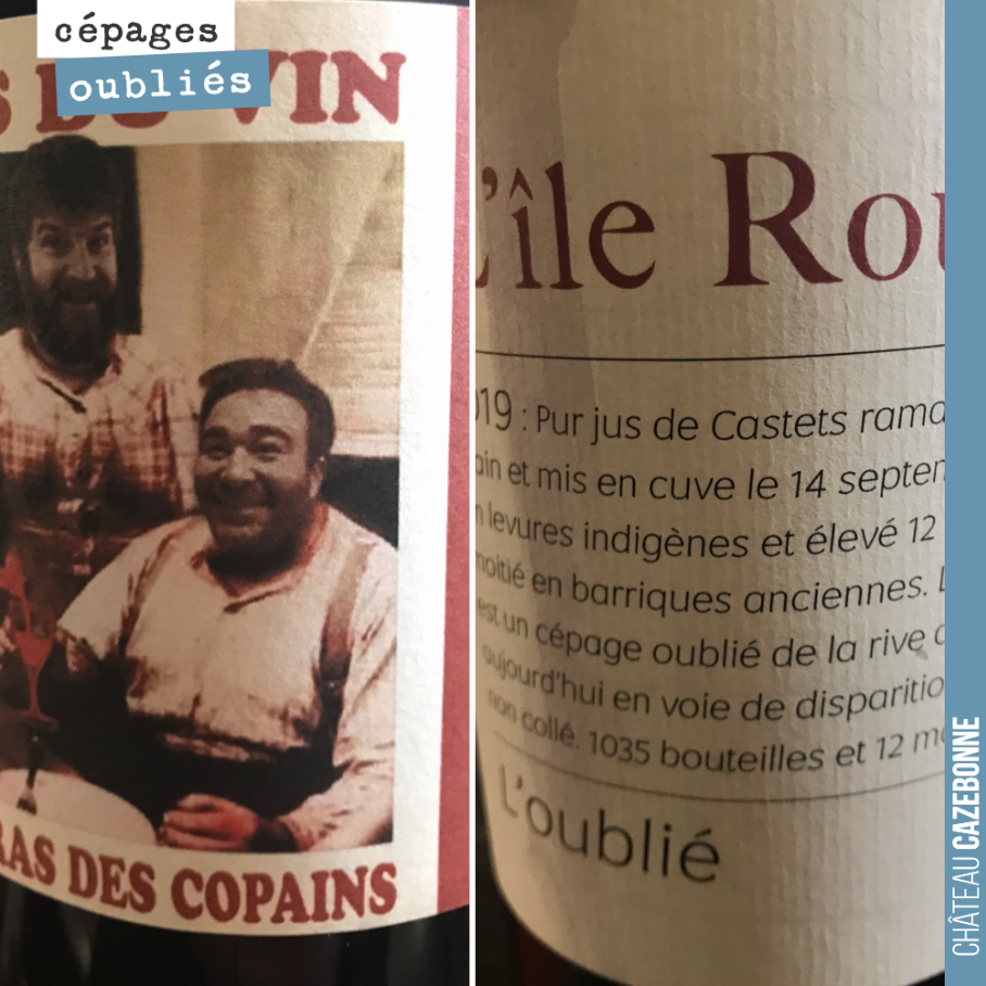 Dégustation de cépages dits modestes : L’oublié de L’île rouge (cépage Castets) et Bois du vin, t’auras des copains de Fabien Jouves et Benjamin Taillandier (cépages Jurnacon noir et Cinsaut).