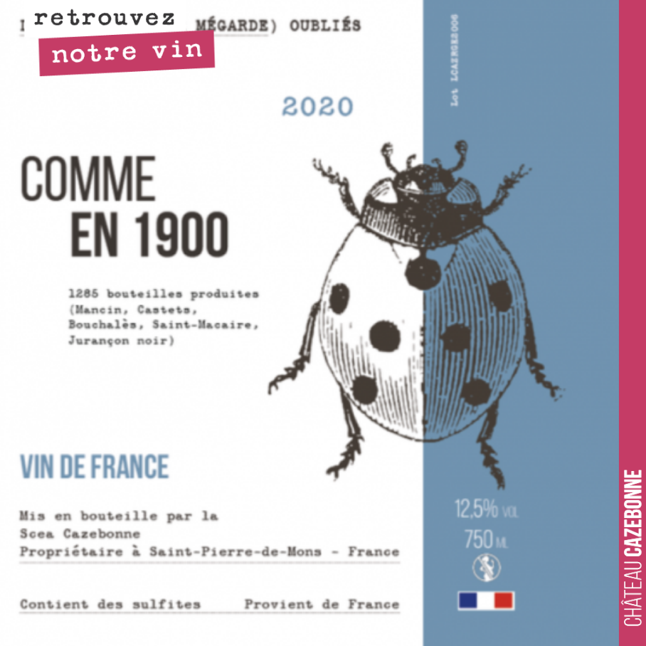 On vous présentait hier notre première cuvée de cépages oubliés à base de Jurançon noir.
Voici la cuvée Comme en 1900, 18 mois d’élevage en barrique et amphore, de 5 cépages historiques : Mancin, ...