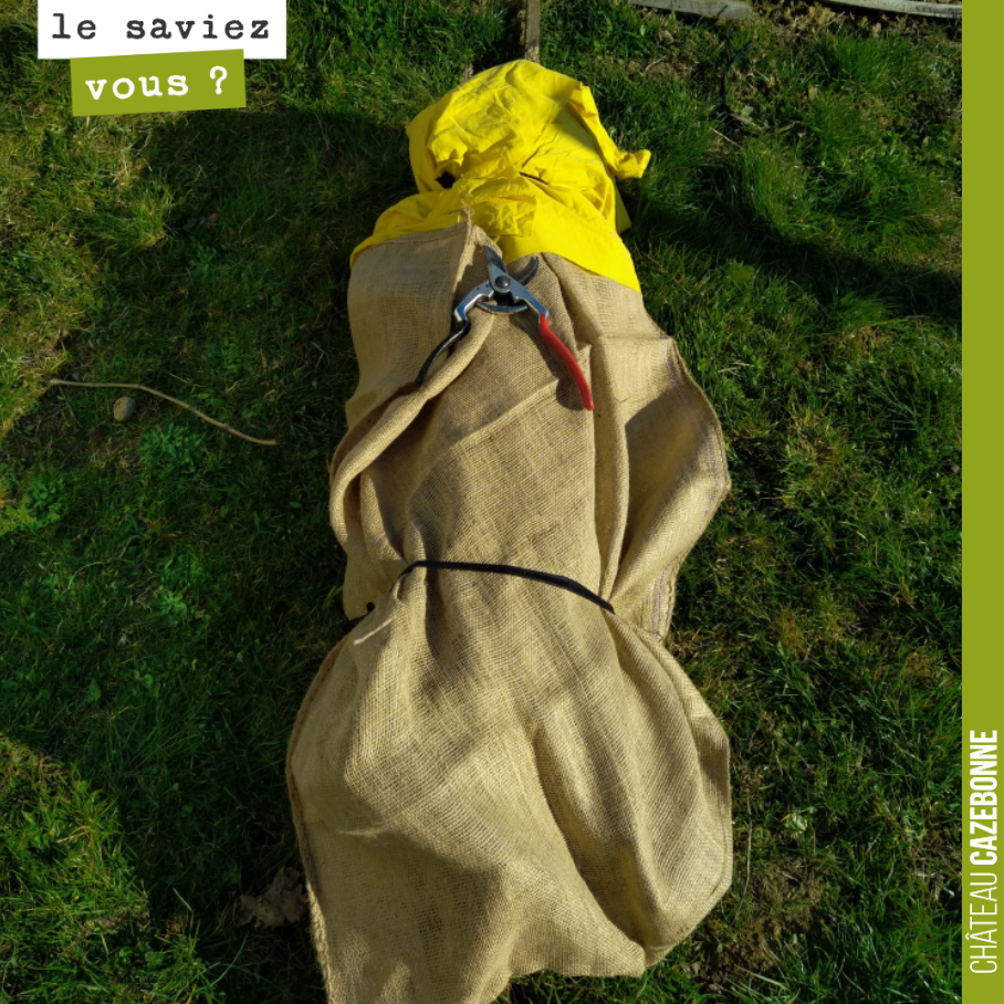 À votre avis, qu’est ce que l’on fait, là ?
