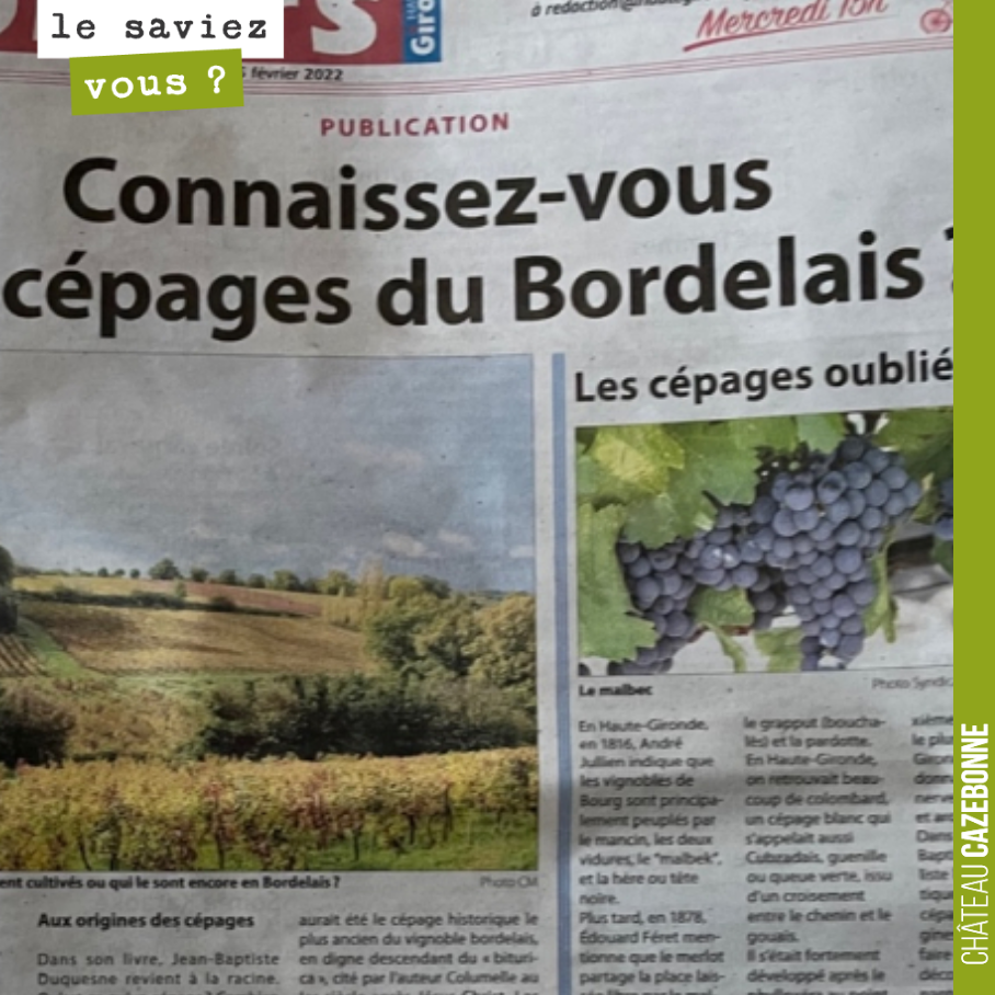 Mon ami Michel Elie me fait suivre cet article publié ce jour dans le journal Haute Gironde.
Un article au sujet de notre livre, Bordeaux, une histoire de cépages.
Le Blayais/Bourgeais a longtemp...
