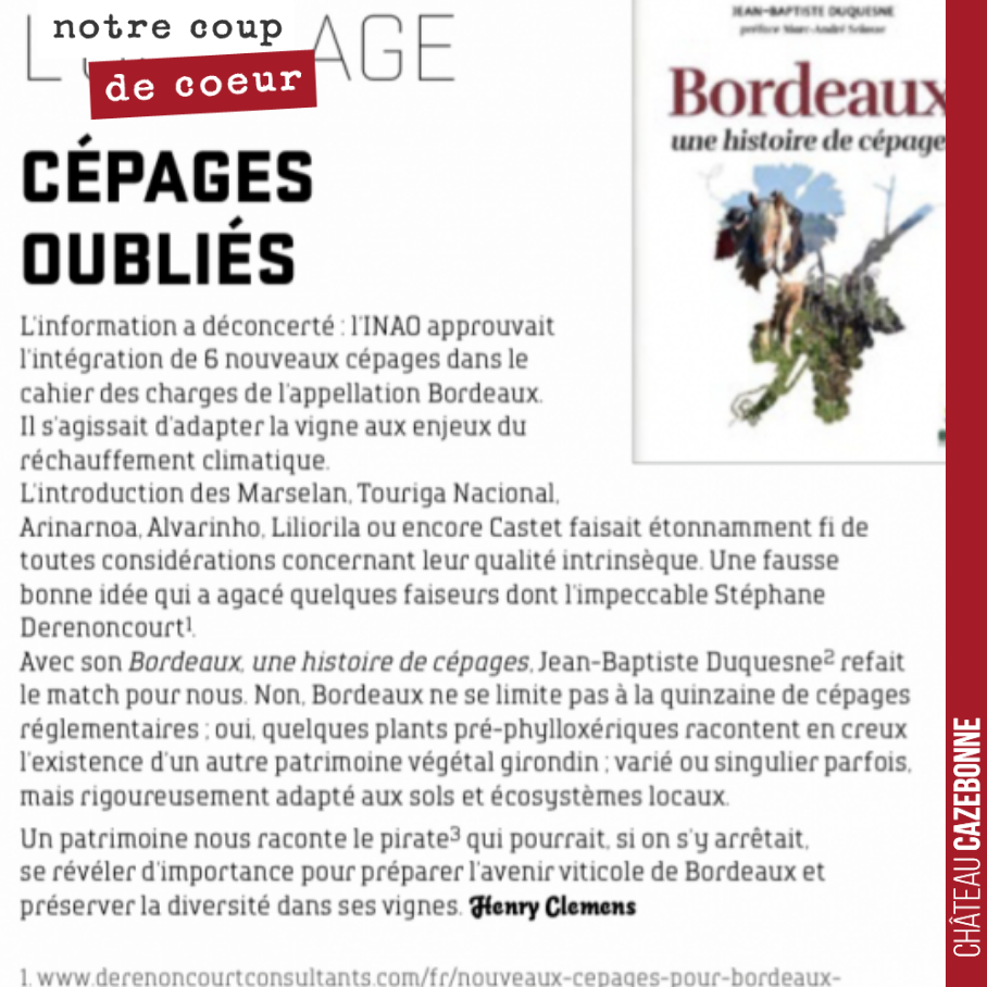 Très bel article dans Junkpage sur notre livre, Bordeaux, une histoire de cépages.
Merci Henry Clemens pour cet article.