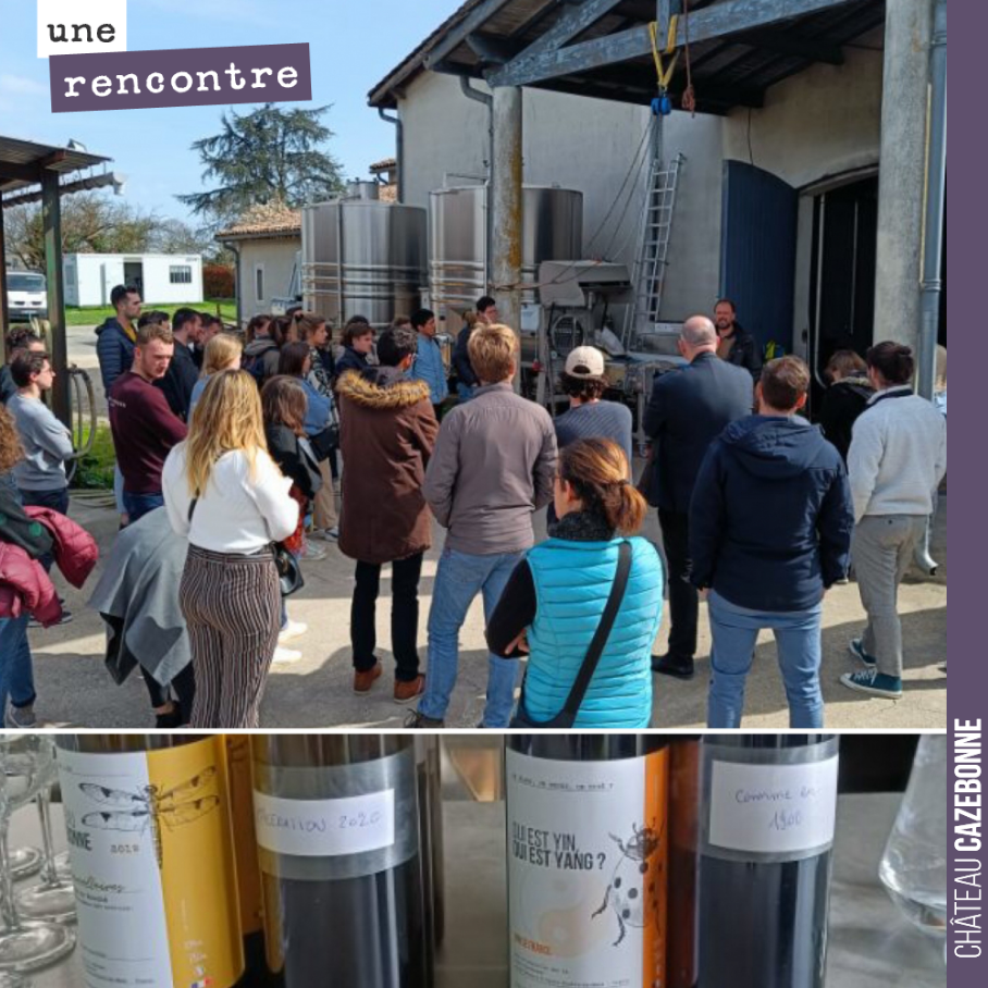 Toujours un plaisir de recevoir à Cazebonne !
Visite ce lundi d’une groupe d’étudiants en DNO de la fac d’œnologie de Bordeaux avec dégustation de 4 de nos dernières cuvées, dont la cuvée Comme en...