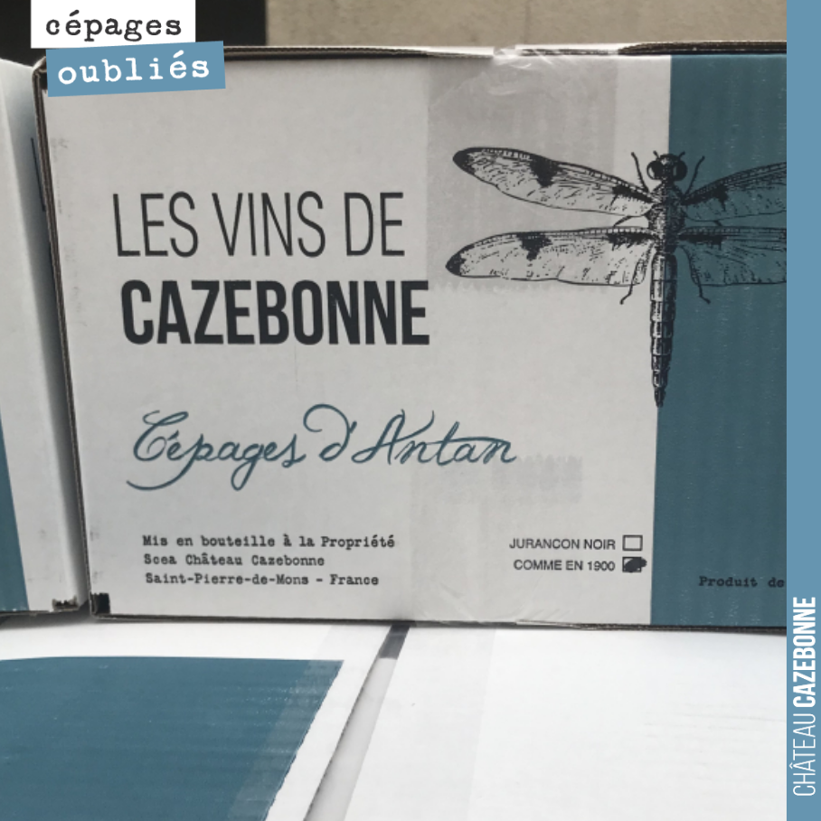 Arrivée de nos cuvées de cépages oubliés dans notre stock parisien.
L’aboutissement de 5 ans de travail ! Quel bonheur !