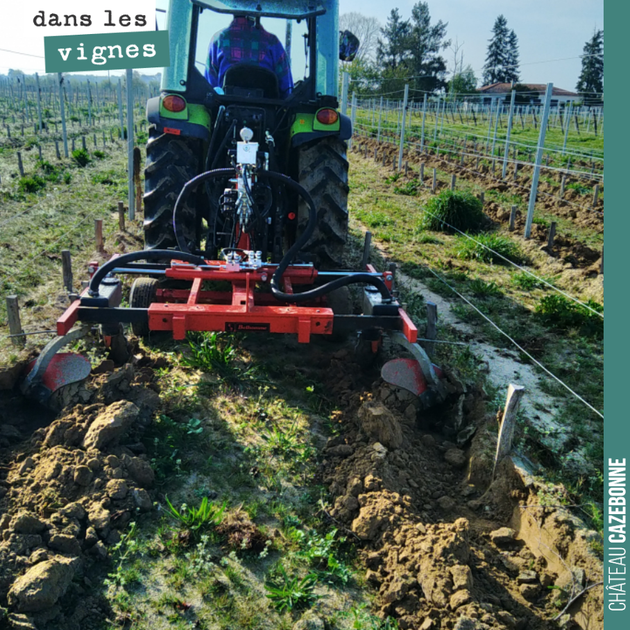 Décavaillonnage des plantes au Maine. Démarrer la saison sur de bonnes bases avec des vignes propres sous le rang.