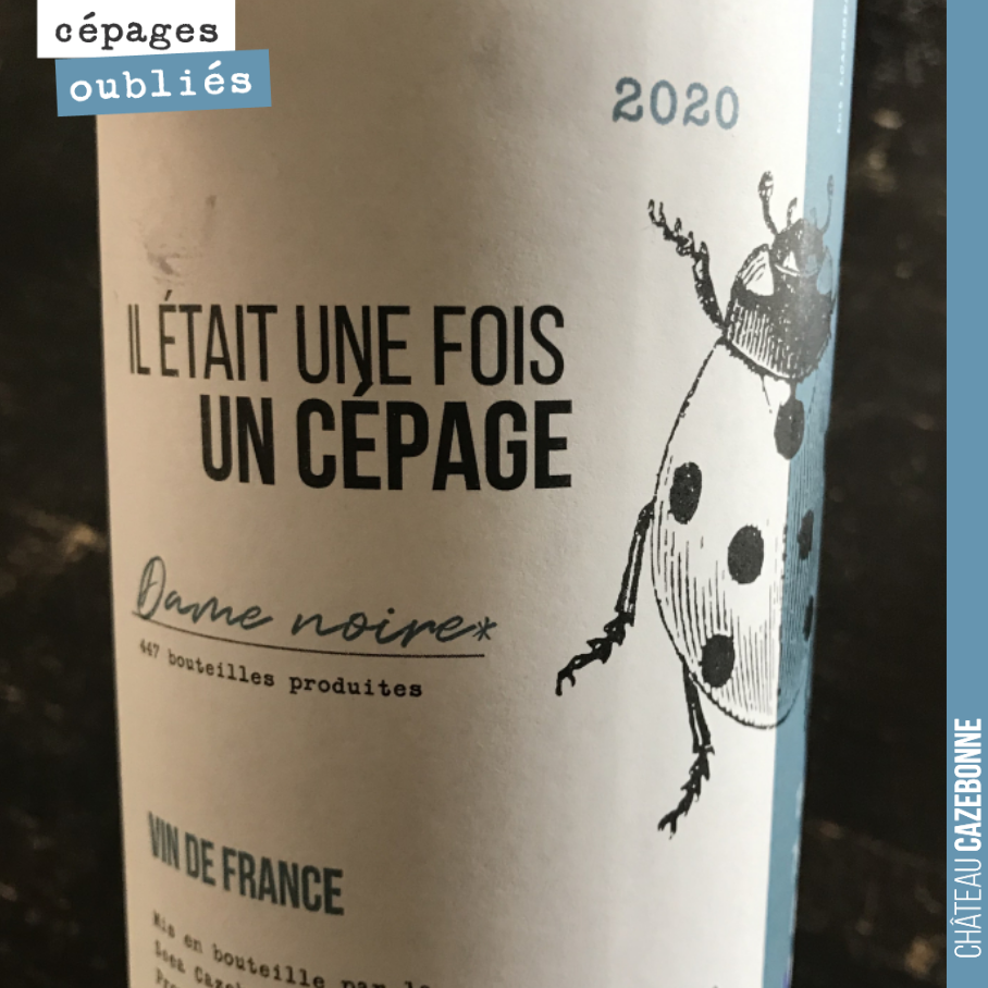 Parmi nos nouveautés, cette cuvée est issue de Jurançon noir.
Il nous a été interdit de faire figurer sur l’étiquette le nom officiel du cépage, pour éviter toute confusion avec le Jurançon (comm...
