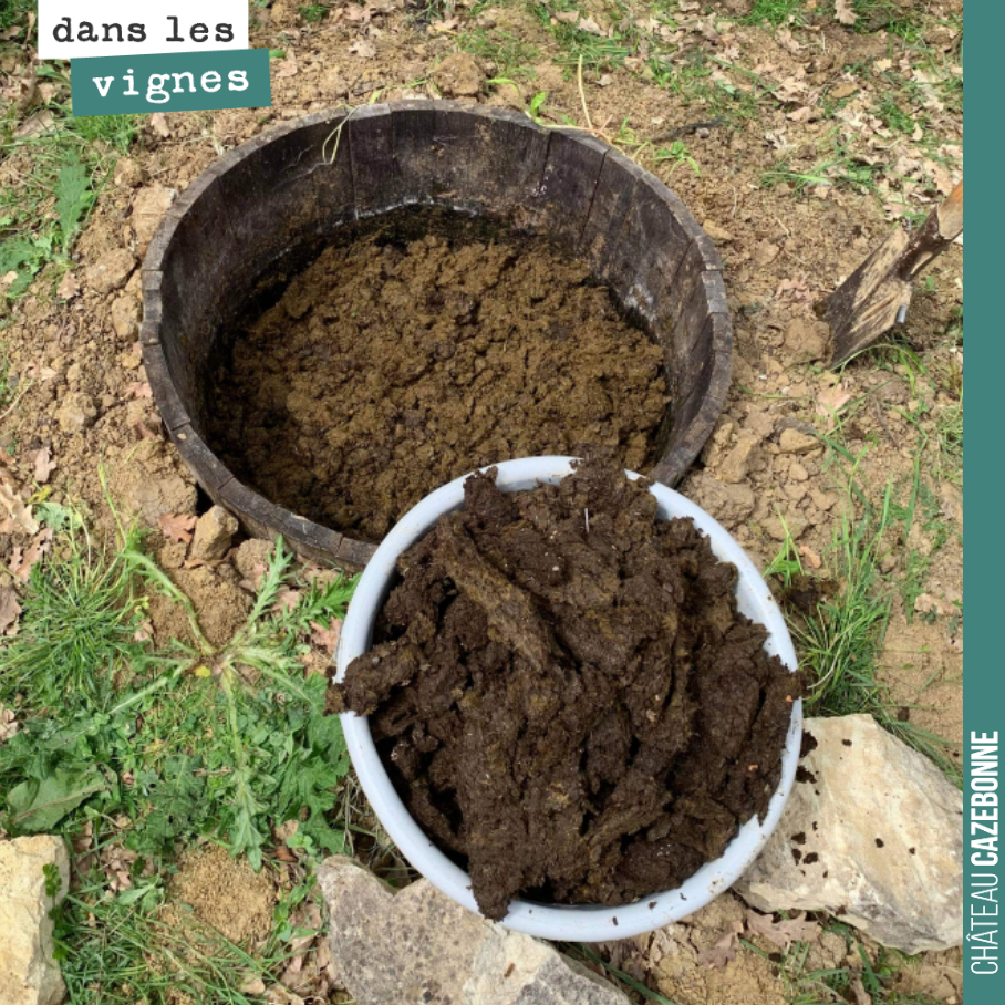 Nos préparations de biodynamie sont réalisées en commun avec nos confrères vignerons, Laurent, Michel et Pascal. Une bonne façon de se réunir et d’échanger sur nos pratiques !
Vendredi, nous avons...