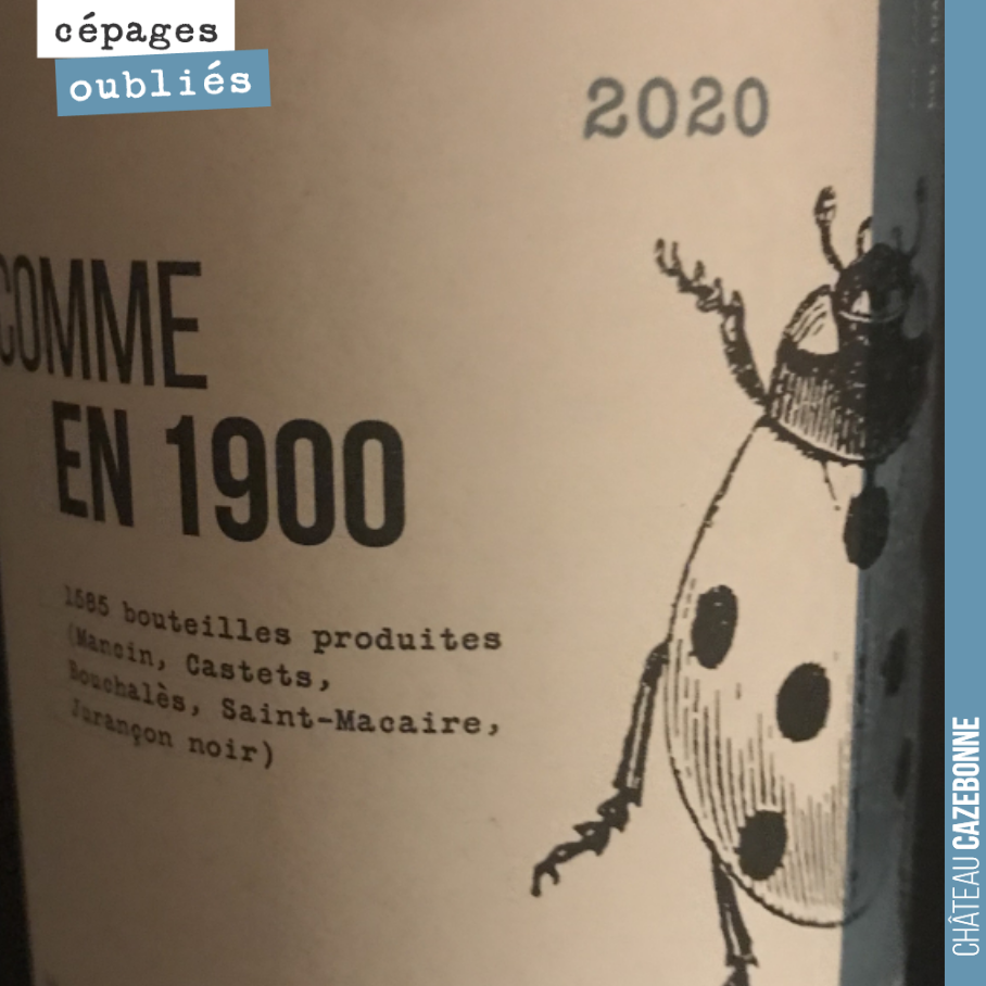 Notre cuvée Comme en 1900 est élaborée à partir de 5 cépages qui étaient dans nos vignes au 19eme siècle et qui ont aujourd’hui disparus : Mancin, Castets, Saint-Macaire, Jurançon noir et Bouchalès...