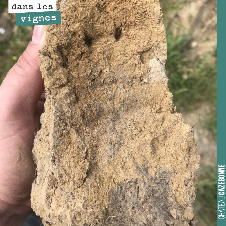 Notre magnifique terroir qui permet d’élaborer la cuvée ´Argile Ocre ´.
Un magnifique terroir à vins blancs !