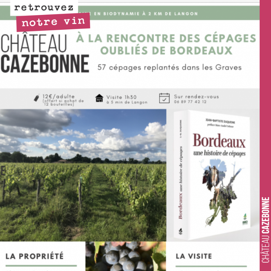 Cet été, venez nous rendre visite, à la découverte des cépages oubliés de Bordeaux.
Visites sur RDV du lundi au samedi.